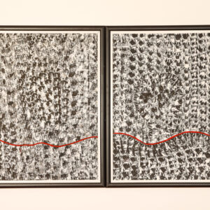 Diptych: Fragmentary Fatherland